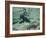 Grizzly Bear Swimming after Spawning Salmon in Kuliak Bay, Katmai National Park, Alaska, Usa-Paul Souders-Framed Photographic Print