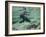 Grizzly Bear Swimming after Spawning Salmon in Kuliak Bay, Katmai National Park, Alaska, Usa-Paul Souders-Framed Photographic Print