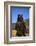 Grizzly Bear-DLILLC-Framed Photographic Print