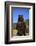 Grizzly Bear-DLILLC-Framed Photographic Print