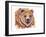 Grizzly Bear-Michelle Faber-Framed Giclee Print