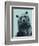 Grizzly Bear-James Hager-Framed Photographic Print