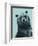 Grizzly Bear-James Hager-Framed Photographic Print