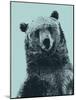 Grizzly Bear-James Hager-Mounted Photographic Print