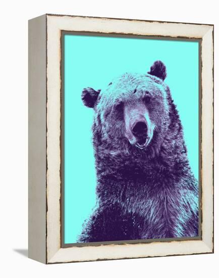 Grizzly Bear-James Hager-Framed Premier Image Canvas