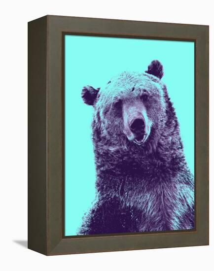 Grizzly Bear-James Hager-Framed Premier Image Canvas