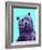 Grizzly Bear-James Hager-Framed Photographic Print