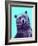 Grizzly Bear-James Hager-Framed Photographic Print