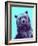 Grizzly Bear-James Hager-Framed Photographic Print