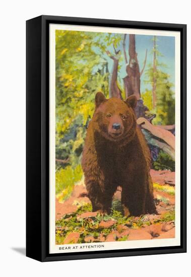 Grizzly Bear-null-Framed Stretched Canvas