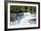 Grizzly Bears Fishing for Salmon at Brooks Falls-null-Framed Photographic Print