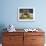 Grizzly Bears Sparring at Hallo Bay in Katmai National Park-Paul Souders-Framed Photographic Print displayed on a wall