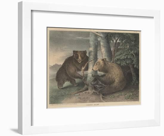 Grizzly Bears-J. R. Peale-Framed Giclee Print