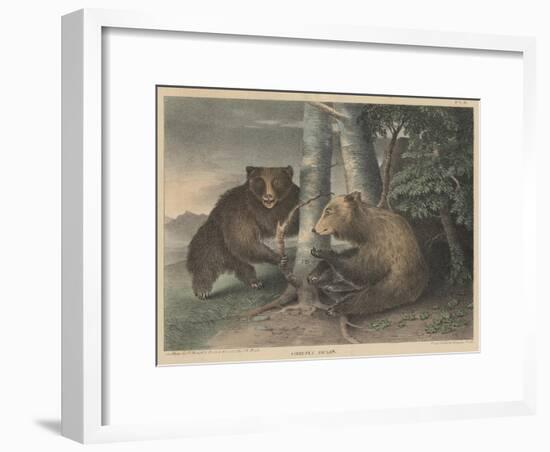 Grizzly Bears-J. R. Peale-Framed Giclee Print