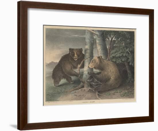 Grizzly Bears-J. R. Peale-Framed Giclee Print