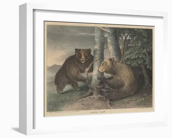 Grizzly Bears-J. R. Peale-Framed Giclee Print