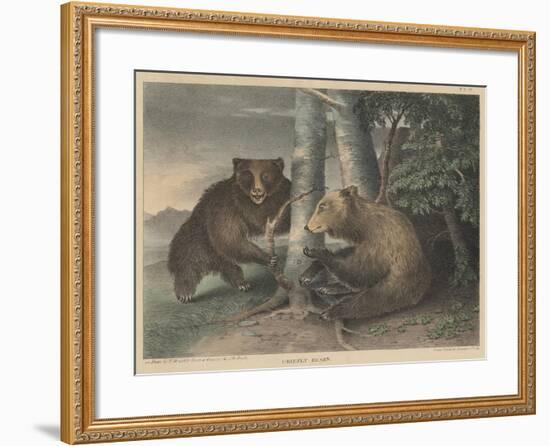 Grizzly Bears-J. R. Peale-Framed Giclee Print