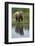 Grizzly by Stream-DLILLC-Framed Photographic Print