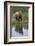 Grizzly by Stream-DLILLC-Framed Photographic Print