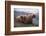 Grizzly Cubs with Mother by River-DLILLC-Framed Photographic Print