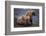 Grizzly Cubs with Mother by River-DLILLC-Framed Photographic Print