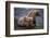 Grizzly Cubs with Mother by River-DLILLC-Framed Photographic Print