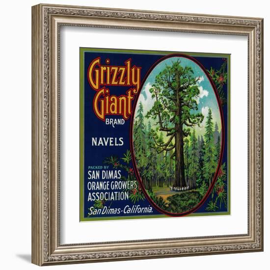 Grizzly Giant Orange Label - San Dimas, CA-Lantern Press-Framed Art Print