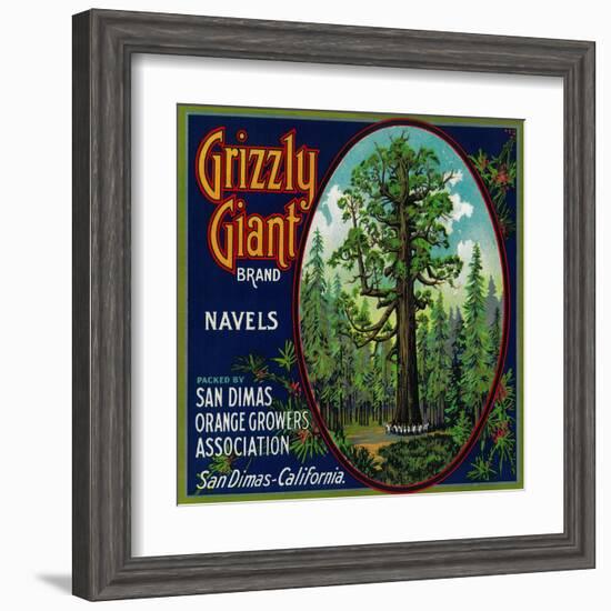 Grizzly Giant Orange Label - San Dimas, CA-Lantern Press-Framed Art Print