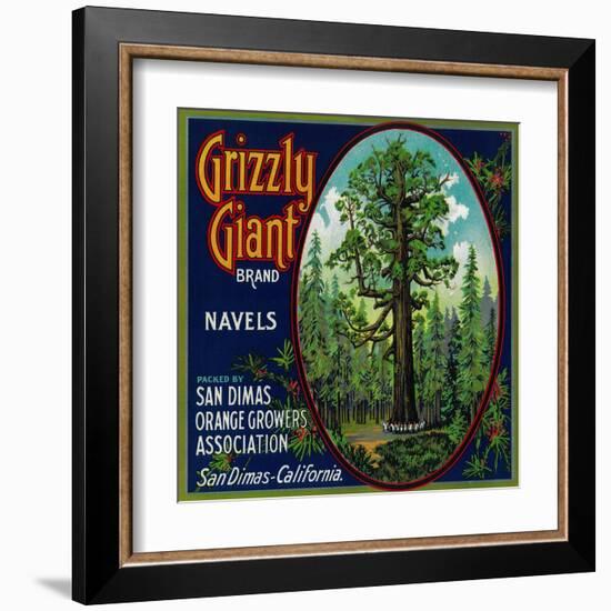 Grizzly Giant Orange Label - San Dimas, CA-Lantern Press-Framed Art Print