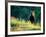 Grizzly of Kronotska National Park, Kamchatka, Russia-Daisy Gilardini-Framed Photographic Print