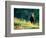 Grizzly of Kronotska National Park, Kamchatka, Russia-Daisy Gilardini-Framed Photographic Print