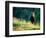 Grizzly of Kronotska National Park, Kamchatka, Russia-Daisy Gilardini-Framed Photographic Print