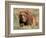 Grizzly or Brown Bear, Kodiak Island, Alaska, USA-Art Wolfe-Framed Photographic Print