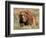 Grizzly or Brown Bear, Kodiak Island, Alaska, USA-Art Wolfe-Framed Photographic Print