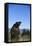 Grizzly Roaring in Field-DLILLC-Framed Premier Image Canvas