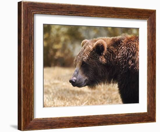 Grizzly Watch-Jai Johnson-Framed Giclee Print