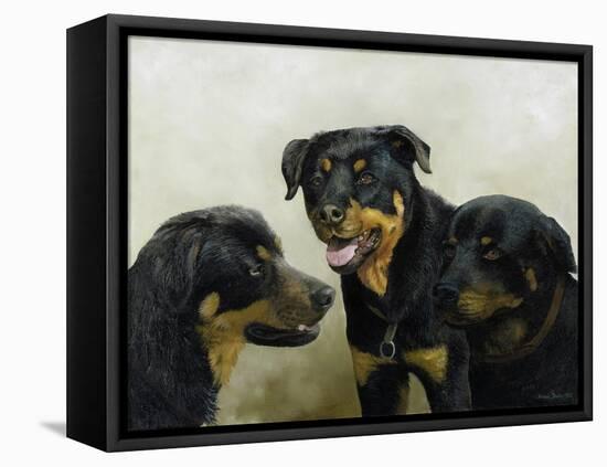 Grizzly, Whyler, Thor-Kevin Dodds-Framed Premier Image Canvas