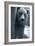 Grizzly-Gordon Semmens-Framed Photographic Print