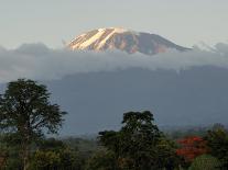 Mount Kilimanjaro, UNESCO World Heritage Site, Tanzania, East Africa, Africa-Groenendijk Peter-Photographic Print