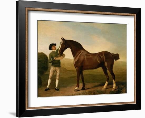 Groom Feeding a Bay Hunter in a Landscape-George Stubbs-Framed Giclee Print