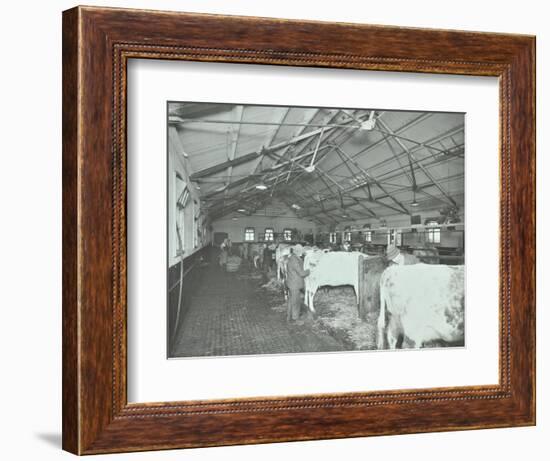 Grooming Cattle in a Cowshed, Claybury Hospital, Woodford Bridge, London, 1937-null-Framed Photographic Print