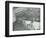 Grooming Cattle in a Cowshed, Claybury Hospital, Woodford Bridge, London, 1937-null-Framed Photographic Print