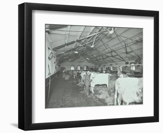 Grooming Cattle in a Cowshed, Claybury Hospital, Woodford Bridge, London, 1937-null-Framed Photographic Print