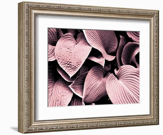 Groove-Design Fabrikken-Framed Photographic Print