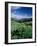 Grooved Milkvetch and Mt. Crested Butte, Gunnison National Forest, Colorado, USA-Adam Jones-Framed Photographic Print