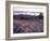 Grooves in the Granite on Summit of Cadillac Mountain, Acadia National Park, Maine, USA-Jerry & Marcy Monkman-Framed Photographic Print