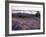 Grooves in the Granite on Summit of Cadillac Mountain, Acadia National Park, Maine, USA-Jerry & Marcy Monkman-Framed Photographic Print