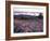 Grooves in the Granite on Summit of Cadillac Mountain, Acadia National Park, Maine, USA-Jerry & Marcy Monkman-Framed Photographic Print