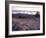 Grooves in the Granite on Summit of Cadillac Mountain, Acadia National Park, Maine, USA-Jerry & Marcy Monkman-Framed Photographic Print