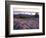 Grooves in the Granite on Summit of Cadillac Mountain, Acadia National Park, Maine, USA-Jerry & Marcy Monkman-Framed Photographic Print